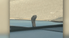 Snake used a mom's car hood as its ‘hidey-hole.' Getting it out was a struggle